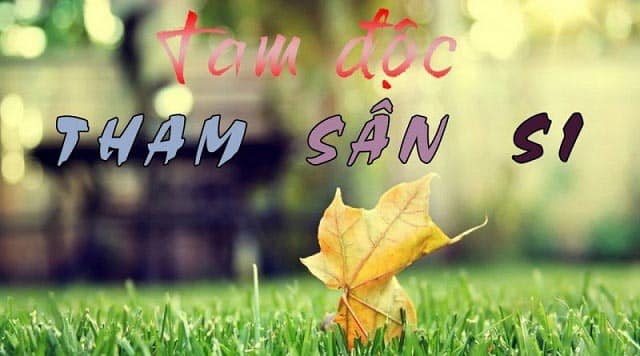 Tam độc (tham, sân, si)